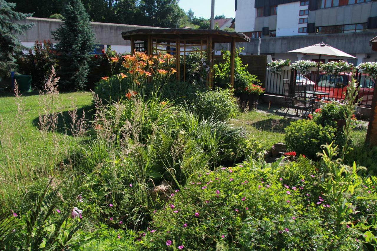 Apartman Brasov, Tyn Nad Vltavou Exterior photo